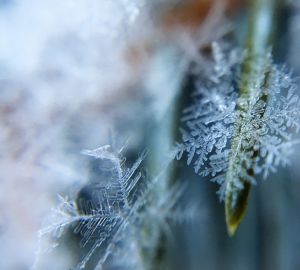 В Пензенской области выпадет первый снег