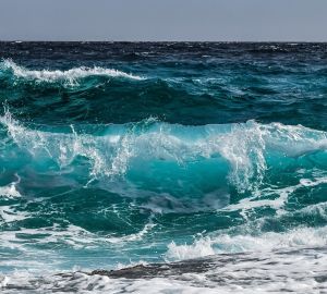 Рыбаки сообщили о небывалом улове, весом почти 2 тонны