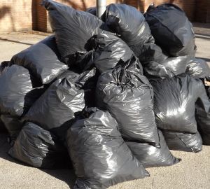 Жители пензенского села добились установки мусорного контейнера