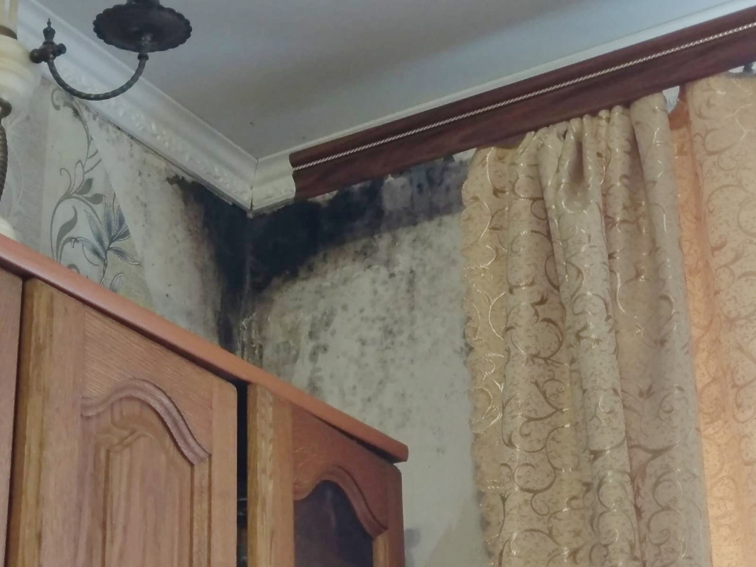 В Пензе жители дома на улице Коннозаводской вынуждены жить в квартире с черной плесенью