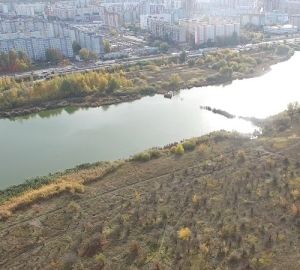 Мэрия Пензы намерена обустроить зону отдыха "Арбековские пруды" по концессии с частником