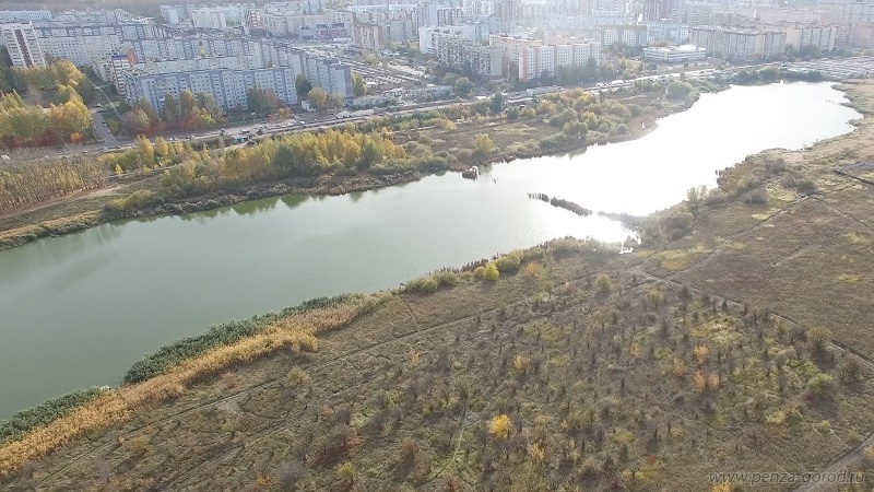 Мэрия Пензы намерена обустроить зону отдыха "Арбековские пруды" по концессии с частником