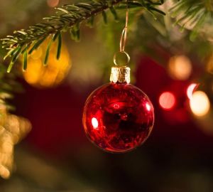 В Пензенской области перед Новым годом усилят охрану елок