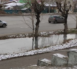 Жители Пензы пожаловались на очередной зловонный фонтан