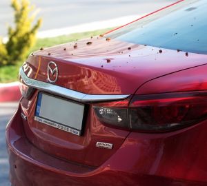 Жителю Кузнецка грозит 5 лет тюрьмы за угон «Мазды»