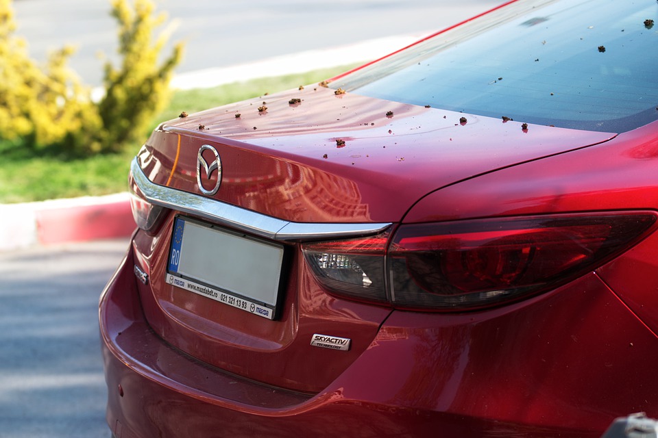 Жителю Кузнецка грозит 5 лет тюрьмы за угон «Мазды»