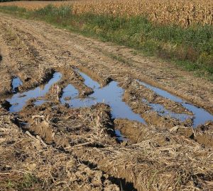 Администрация Пензы не может вернуть в собственность дорогу в Ахунах
