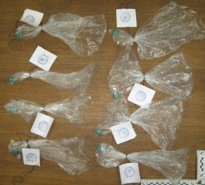 В Пензе задержали наркоторговца из Волгоградской области. Ему грозит 20 лет тюрьмы