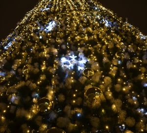 В Пензе на искусственные елки потратят более 600 тысяч рублей