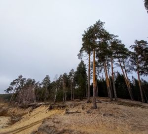 Мельниченко рассказал о своих впечатлениях от отдыха в выходные