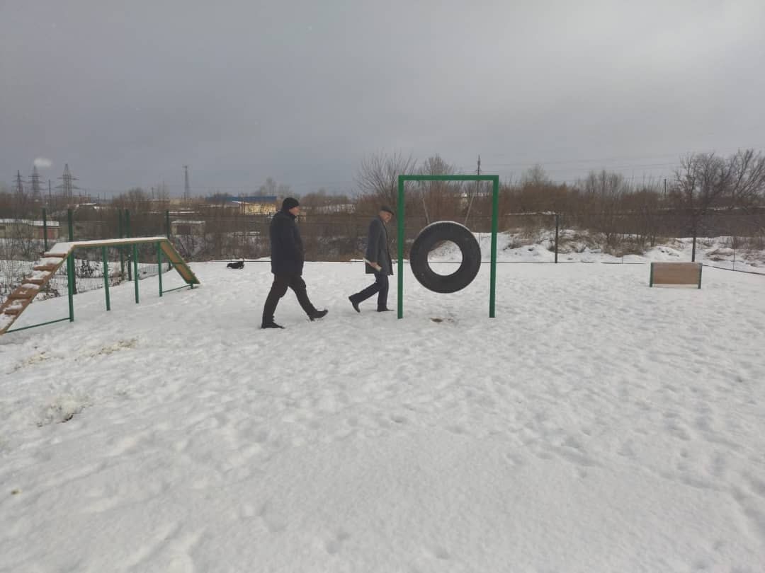 В Кузнецке организовали площадку для выгула собак