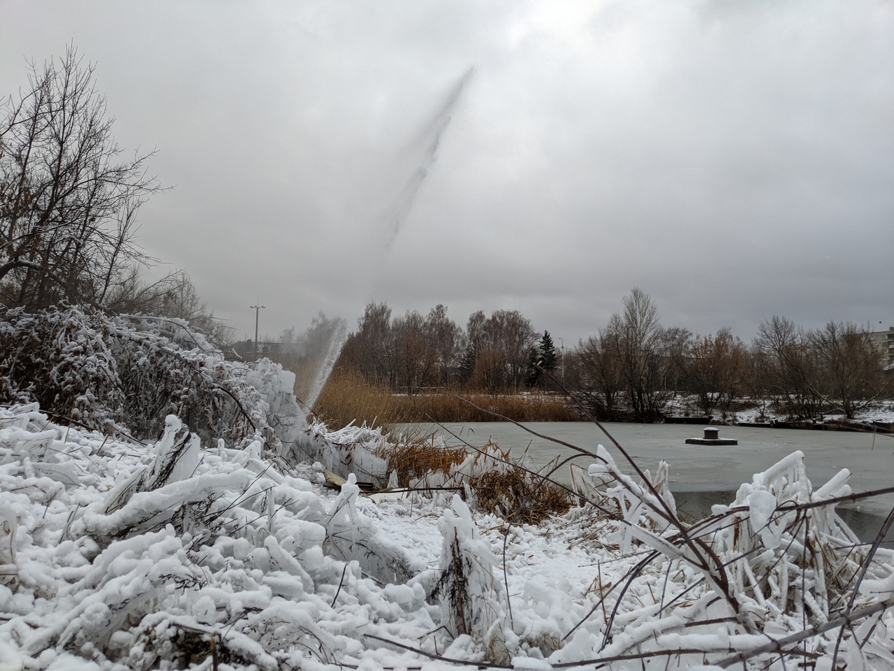 В Пензе из-под земли под напором бьет источник воды