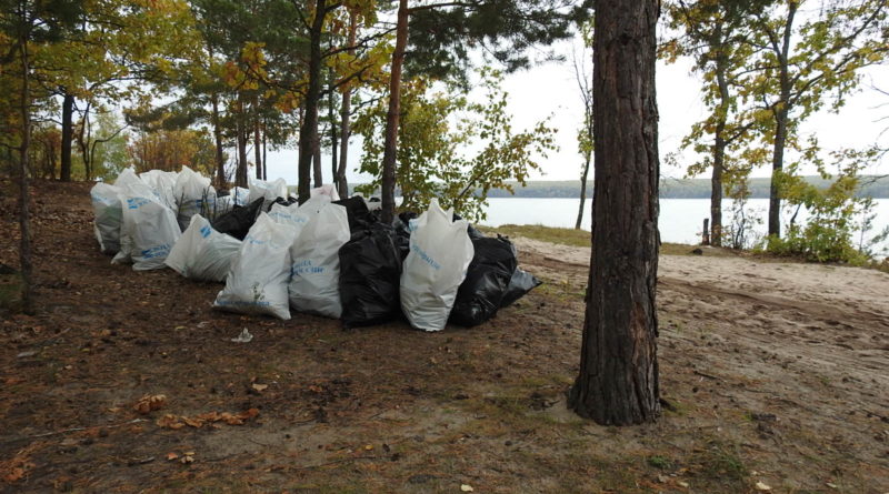 Пензенцам рассказали о том, от кого зависит чистота берега Сурского водохранилища