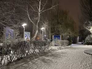 Глава администрации Кузнецка распорядился вывозить снег на специальный полигон