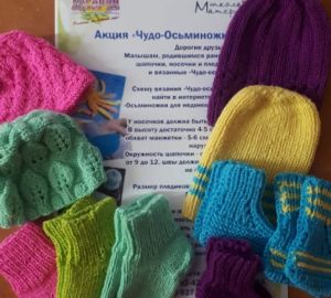 Ольга Чистякова: «К акции помощи недоношенным детям присоединились тысячи рукодельниц»