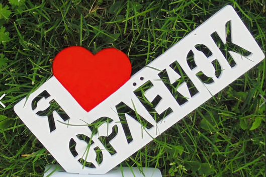 В Пензе намерены восстановить лагерь «Орленок»