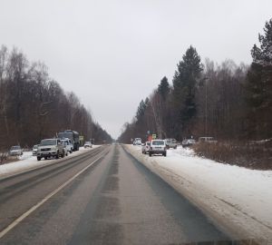 Большое скопление полиции в Никольском районе связано с поиском пенсионера