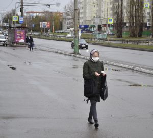 Пенза и Бессоновский район: данные по заболевшим винусом