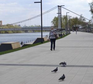 Стал известен план действий после общения с больным ковидом