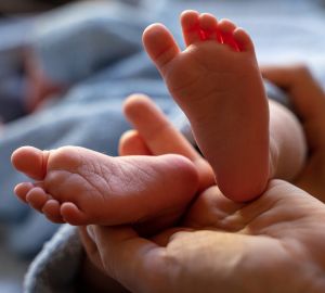 Комиссия одобрила предложение выдавать отцам детей от суррогатной матери маткапитал