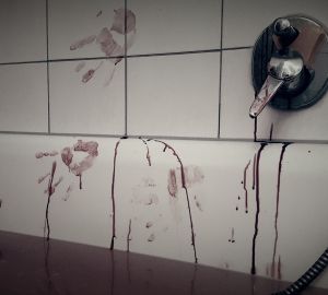 Пенсионер свел счеты с жизнью после убийства жены и внука