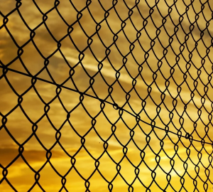 Пензенский депутат рассказал о сбежавшем из детсада ребенке