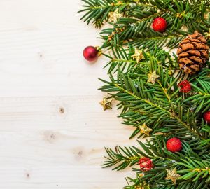 Мокшанским школьникам предложили нарисовать "Елку победы"