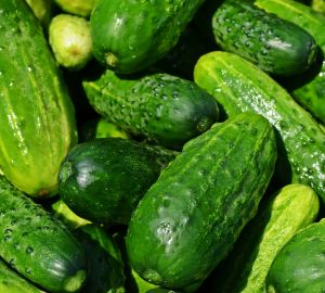 Цены на огурцы и помидоры продолжают падать