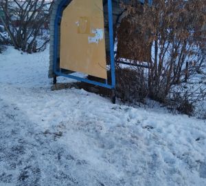 Жители Грабово просят убрать остановку из кустов и установить для людей