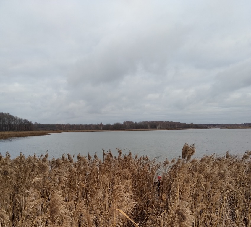В выходные в Пензенской области утонули 2 мужчин