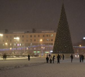 Стало известно, где в Пензе установят новогодние ели