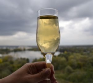 Как выбрать бокалы для вина