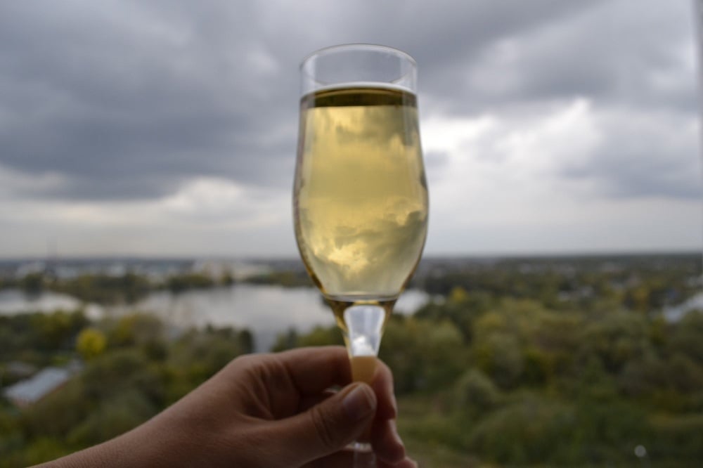 Как выбрать бокалы для вина