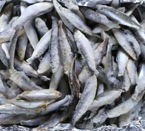 Роспотребнадзор снял с продажи 27 килограммов рыбы и морепродуктов