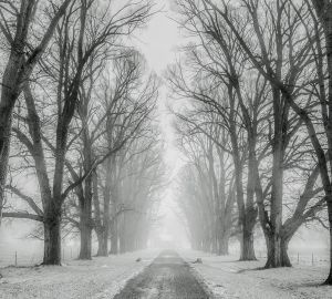 В Лунинском районе из-за плохой дороги не могут проехать ни скорая, ни пожарные