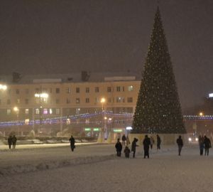 В Пензе начали устанавливать новогодние елки