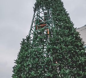 В Пензе установили 15-метровую елку