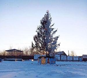 "Уроните обратно": в Пачелме установили навевающую тоску и депрессию елку