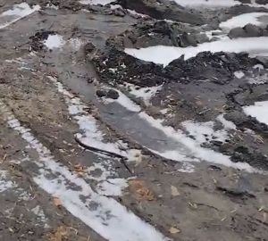 Жители Арбеково вынуждены водить детей в сад по «грязи и месиву»