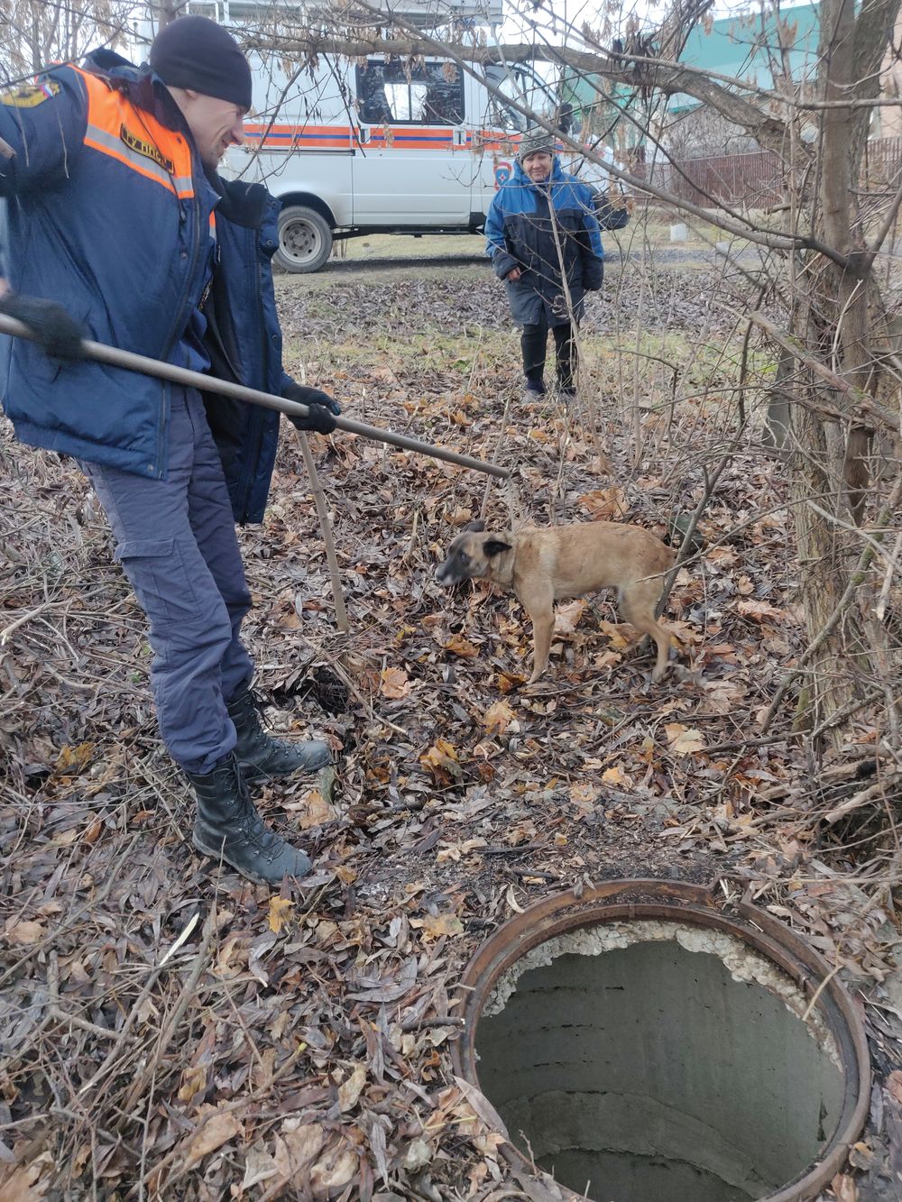 В Пензе спасатели вызволили животное из бетонного плена