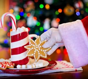 В Пензе в выходные появится «Дом Деда Мороза»