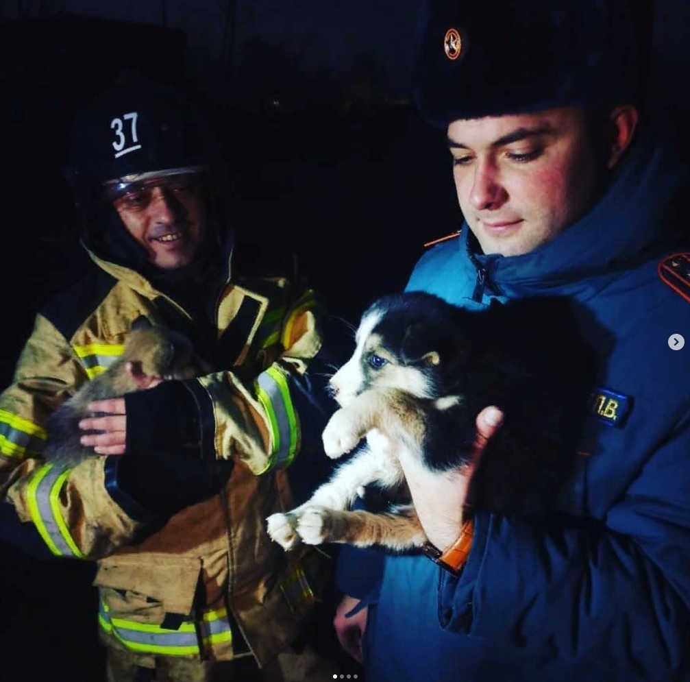 В Пензенской области спасатели вызволили 2 щенков из колодца