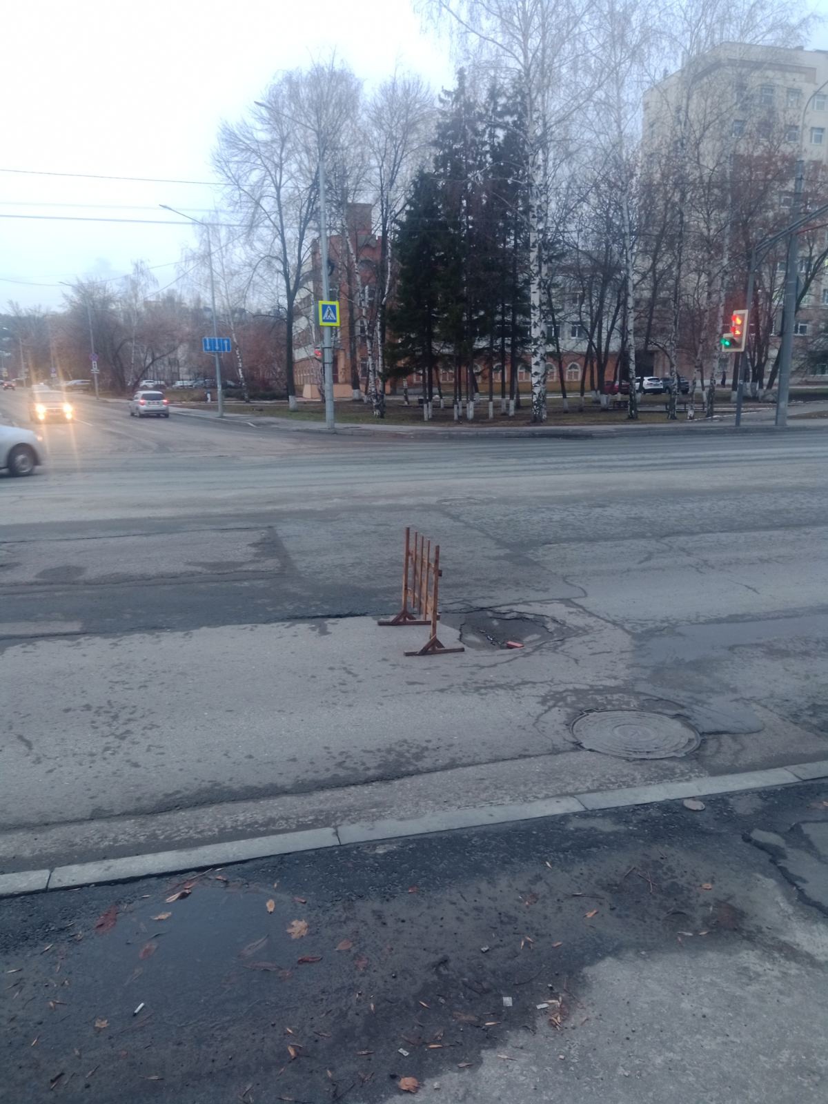 Пензенских автомобилистов предупредили об опасности на дороге