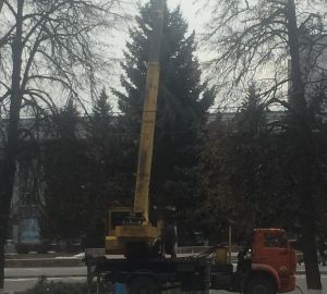 В Кузнецке установили 15-метровую новогоднюю ель
