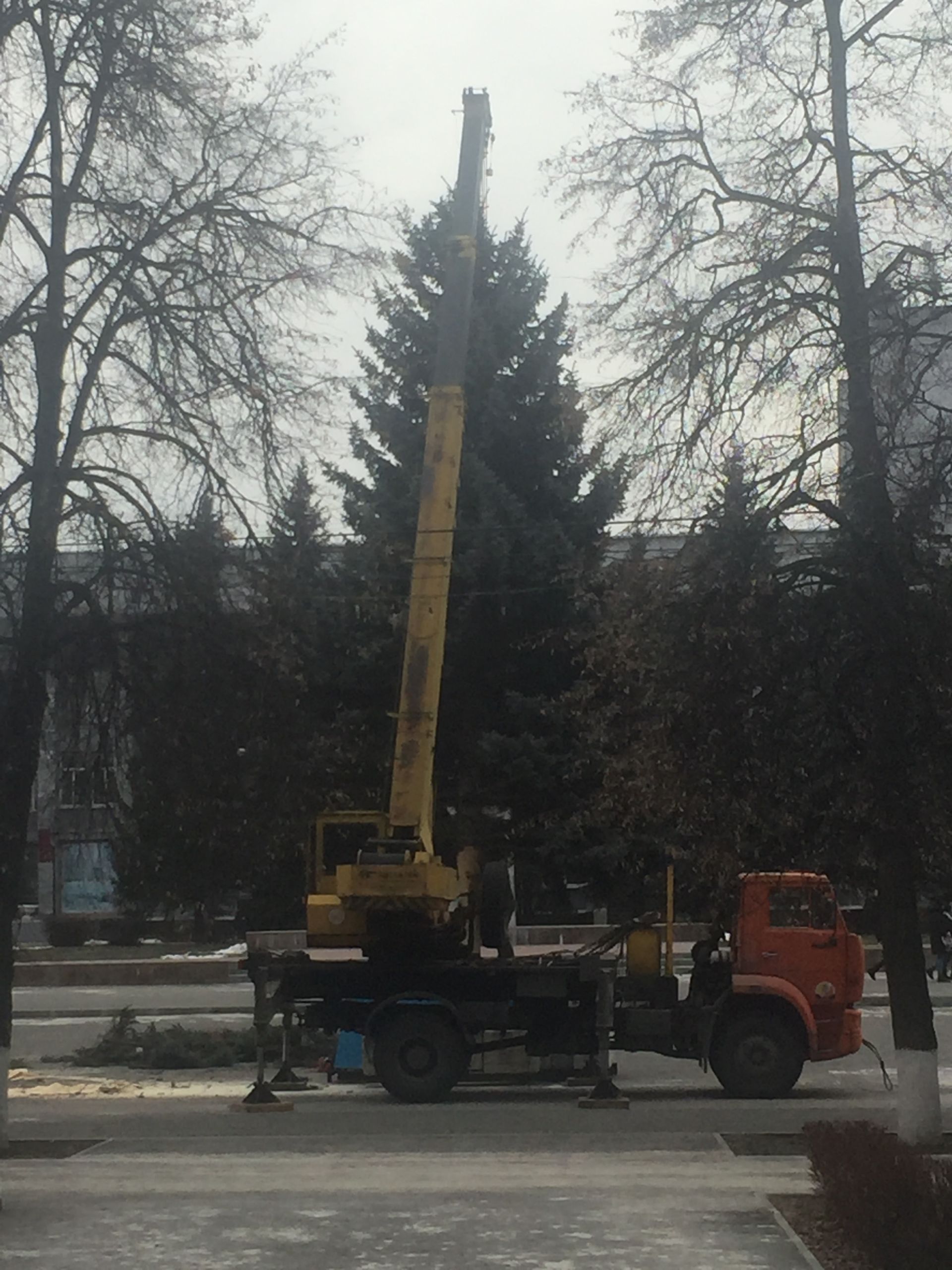 В Кузнецке установили 15-метровую новогоднюю ель