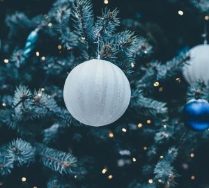 Адреса елочных базаров с живыми елями сообщили пензенцам