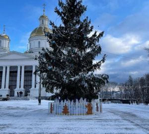 В Пензе на Соборной площади украсили живую елку
