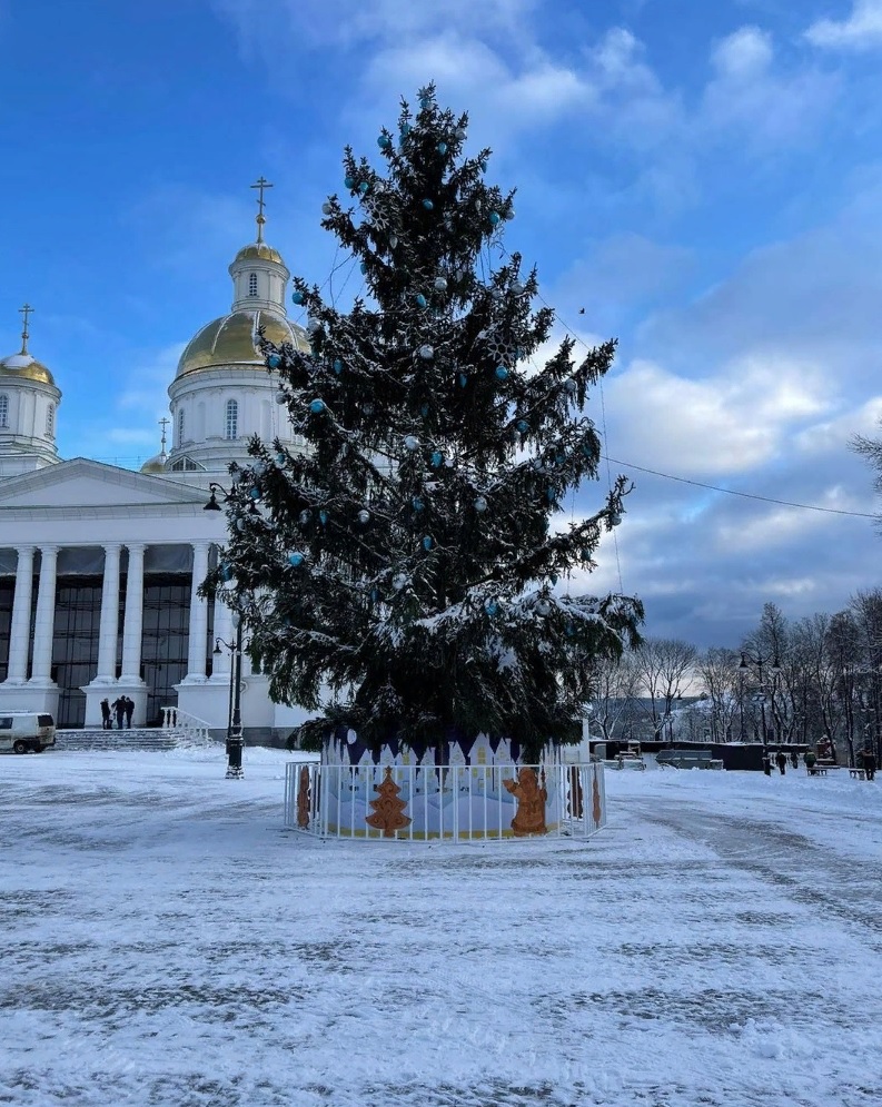 В Пензе на Соборной площади украсили живую елку