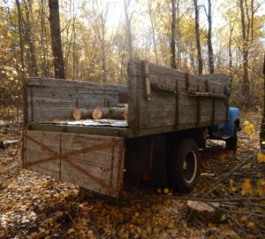 Житель Пензенской области пошел на преступление из-за отсутствия газоснабжения