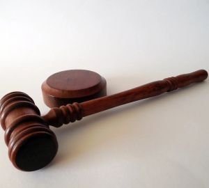 Пензячка по суду доказала право проезжать под запрещающий знак